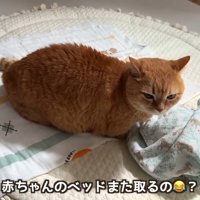 また取るの？