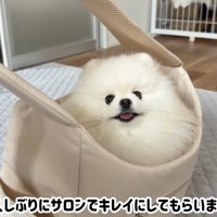 テロップ「久しぶりに～」