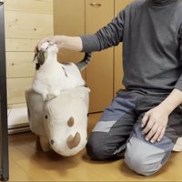 サイ型の椅子に座り、隣のお父さんになでてもらう豆大福くん