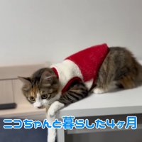 テロップ「ニコちゃんと暮らした4ヵ月」