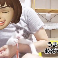 爪を切られながらおやつを食べる子猫