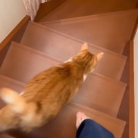 階段を駆け降りる