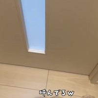 「呼んでるｗ」のテロップ写真