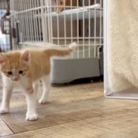 移動中