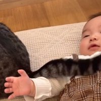 猫と赤ちゃん