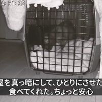 暗い部屋に置かれたキャリー