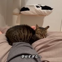 テロップ「幸せすぎる」