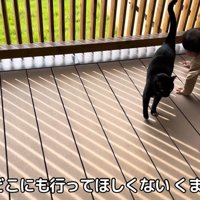 テロップ「赤ちゃん（絵文字）にどこにも～」