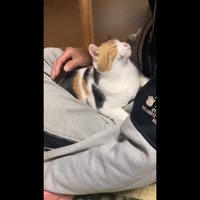 見上げながら目を細めて
