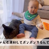 真似してポンポン