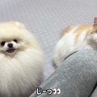 じーっ