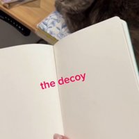 開いたノートと猫