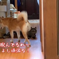 よし頑張る！
