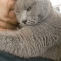 片目を閉じた顔