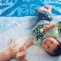 前足を前に出しながら赤ちゃんの親指を咥える猫