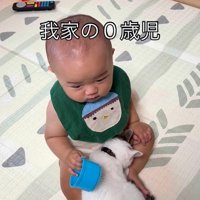 赤ちゃんの足に体を預けるつなちゃん
