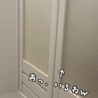 風呂の外にいる猫