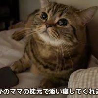 まさかのママの枕元で