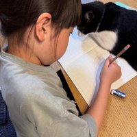 書き物をしている女の子のノートに座る猫