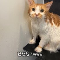 どなた？