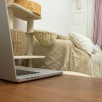 ぽこ太郎くんの頭