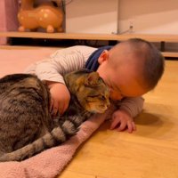猫に顔を寄せる赤ちゃん