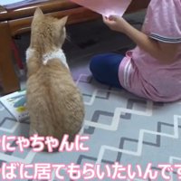 並んで座る猫と子供