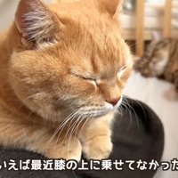 膝の上