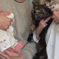 赤ちゃんと猫とハリネズミ