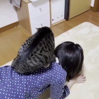 リビングで降りるおでこちゃん（5年前）