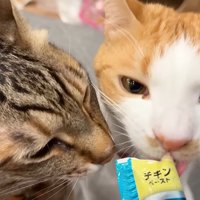 ティガーとチップ