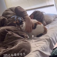 足を開く猫