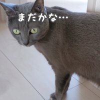 まだかな…
