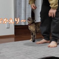 おかえり〜