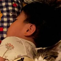 ぐっすり眠る4歳児の背に寄り添う猫