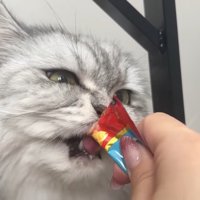 おやつ