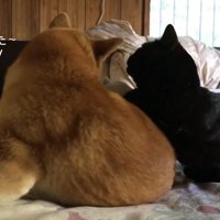 痒かった〜