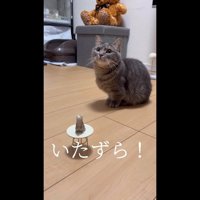 いたずら！