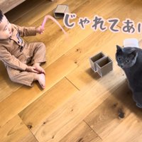 テロップ「じゃれてあげたわ」