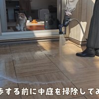 キャティオを掃除中