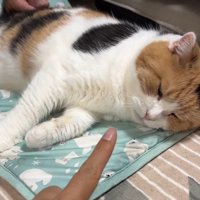 差し出した指