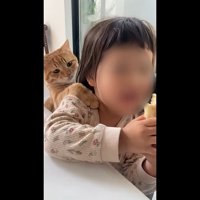 肩に前足をかけて