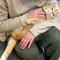 仰向けのプリンくん