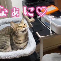 なぁに♡