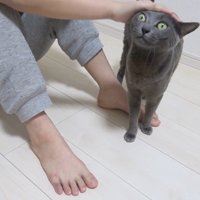 頭を撫でられ中