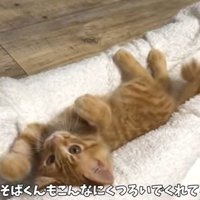 くつろぐやきそばくん