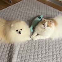 見上げるふたり