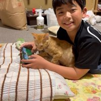 男の子の腕の中から出てくる猫