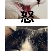 怒と眠