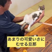てのひらの上の猫